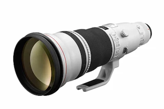 美品CANON EF600mm F4L IS II USM+ET-160W II 2026年版】Canon EF600mm F4L IS II USMレビュー｜野鳥・スポーツでの